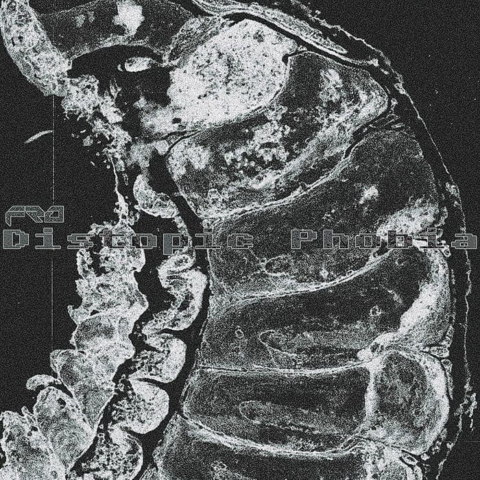 Distopic Phobia